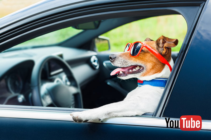 Data is the driving force behind any business! image